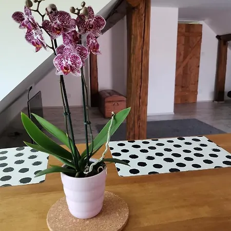 Apartmany Svata 公寓 *