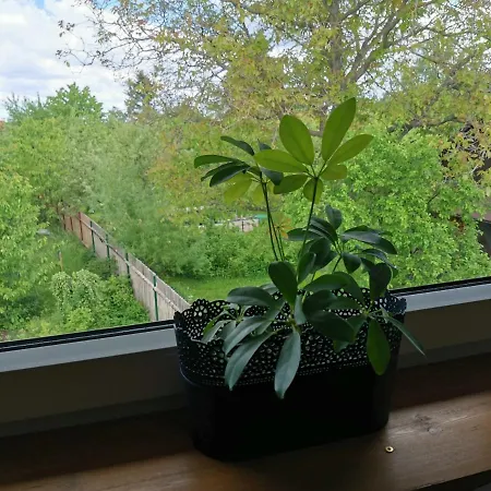 Apartmany Svata Svatá