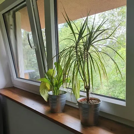 Apartmany Svata Apartment Svata
