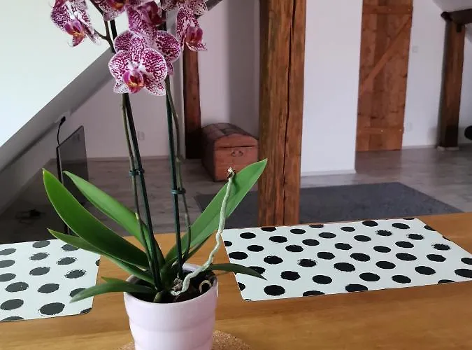 Apartmany Svata Apartament *