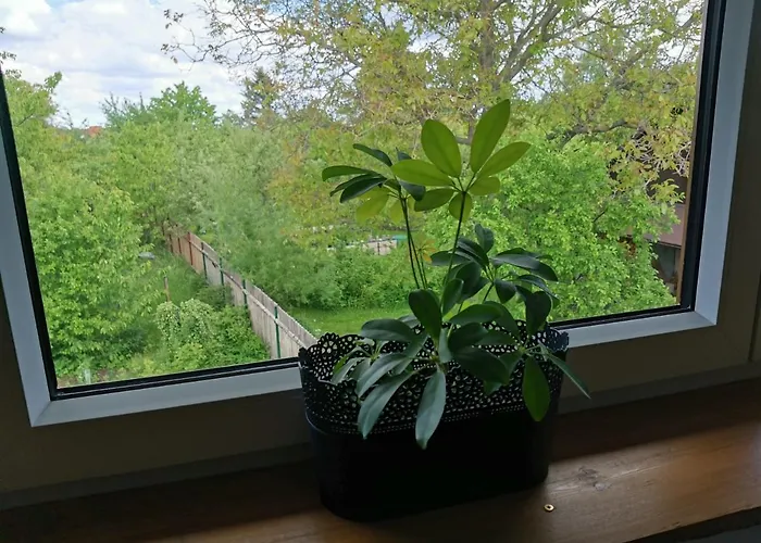 Apartmany Svata Svatá