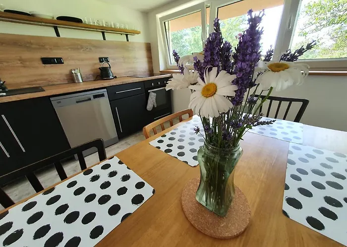 Apartmany Svata * Svatá