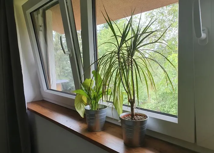 Apartmany Svata Apartament Svatá